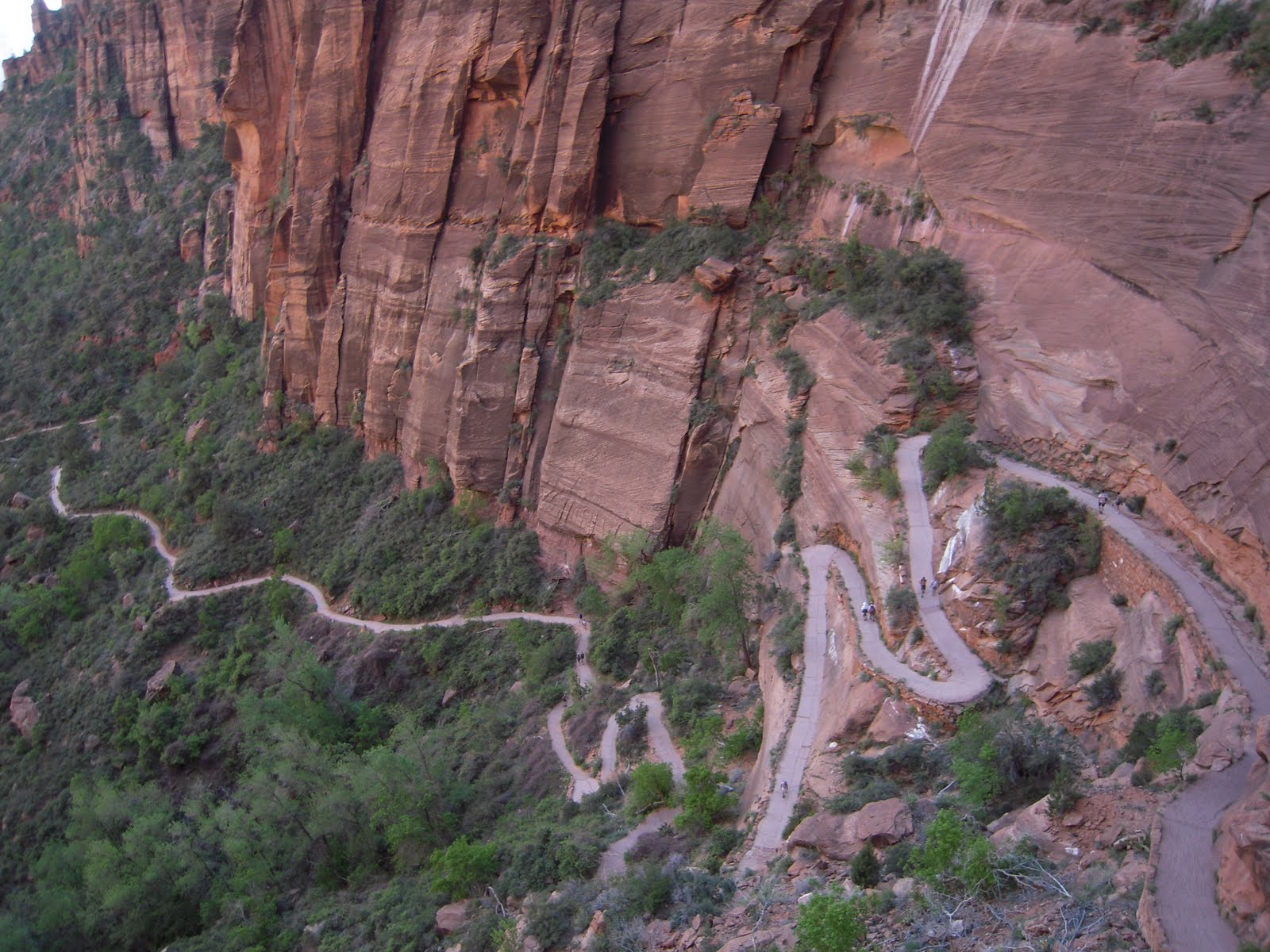 Angel's Landing, Zion National Park, Canyon Tours, College Travel Blog